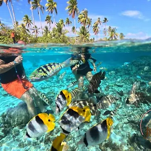 Hutiarii House & Car & Excursions Raiatea Tevaitoa